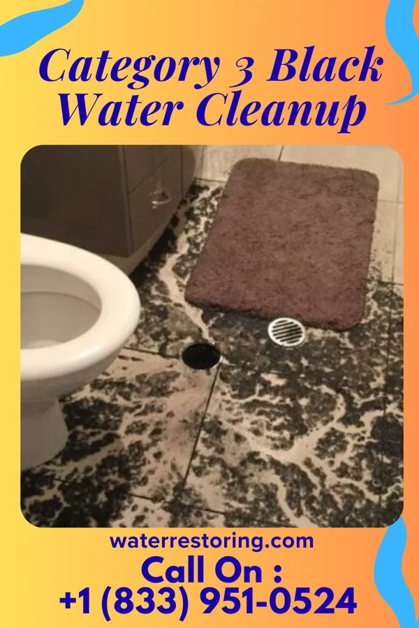 Category 3 Black Water Cleanup in Longview, WA