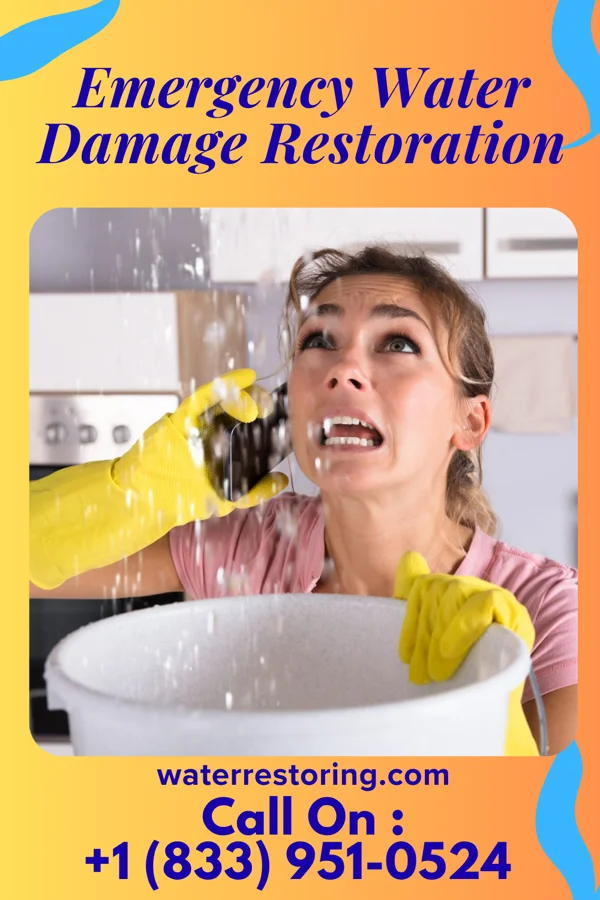 Emergency Water Damage Restoration in Longview, WA