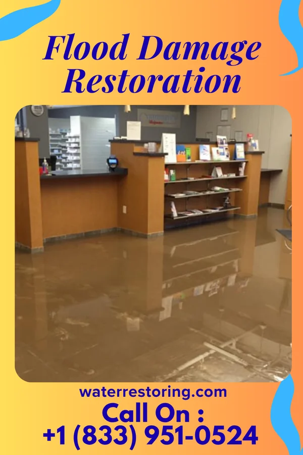 Flood Damage Restoration in Longview, WA