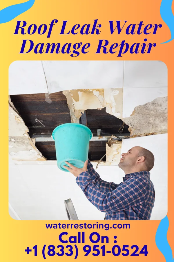 Roof Leak Water Damage Repair in Longview, WA